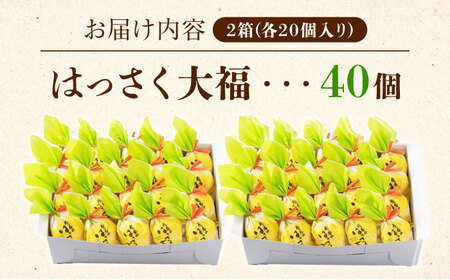 お菓子 はっさく大福20個入×2　 お菓子 大福 八朔 柑橘 みかん オレンジ 餅 ギフト お取り寄せ スイーツ フルーツ大福 ご当地 菓子 おかし デザート 食品 人気 おすすめ 広島県福山市/株式