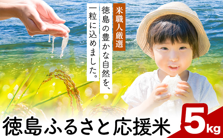 【先行予約】白米 徳島ふるさと応援米 5kg 《2026年11月以降順次出荷》 生活応援企画 米 精米 送料無料 徳島県 佐那河内村 白米 ブレンド米 こめ コメ お米