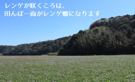 【令和5年産】レンゲ栽培米 夢つくし ?玄米?（8kg）《築上町》【久楽農園】 [ABAT003] お米おすすめ お米定番 お米人気 お米お取り寄せ 美味しいお米 お米料理 お米おススメ お米お気に入