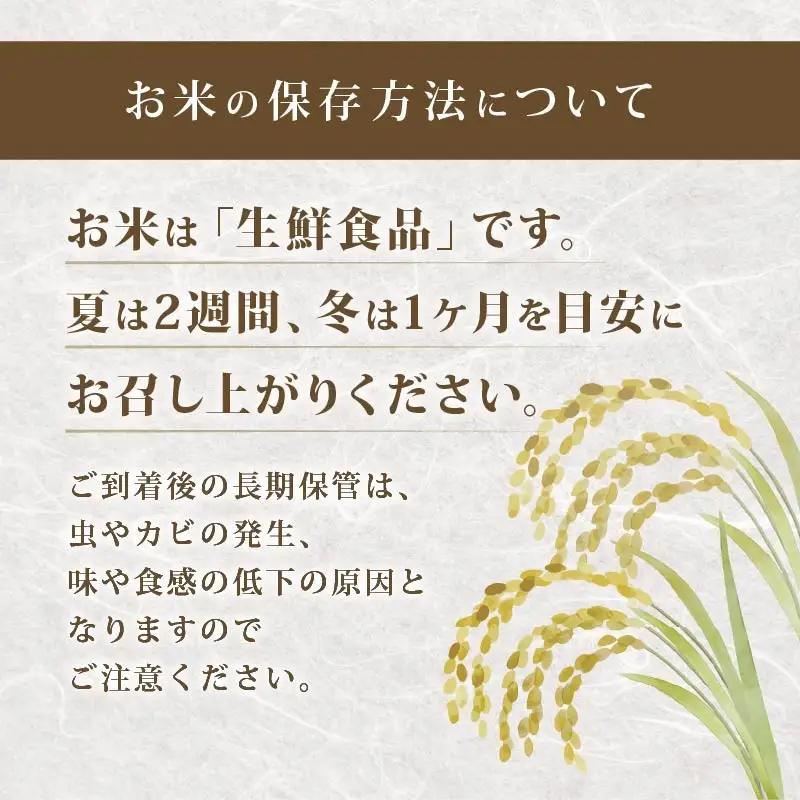 【新米】 令和8年産 先行予約 「きぬむすめ」 5kg ｜ 新米