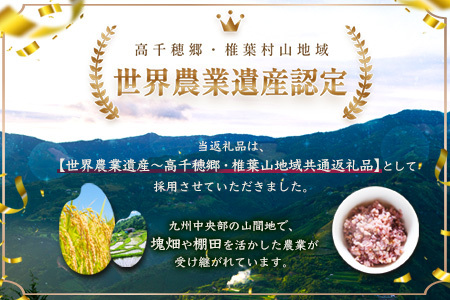 【6回定期便】【雑穀米】藤の花色に染まる美しい六穀米《藤六穀》300g×2袋 6回配送【世界農業遺産 高千穂郷・椎葉山地域】雑穀米 定期便 うるち米 たかきび 挽割とうもろこし もちあわ もち麦 黒米