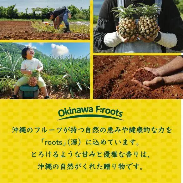 石垣島産 パイナップルジュース 500ml×10本