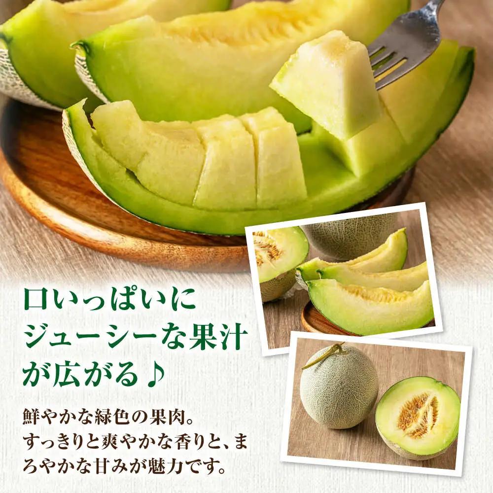 【先行予約】青肉メロン 大玉2玉 [AJAH030] メロン