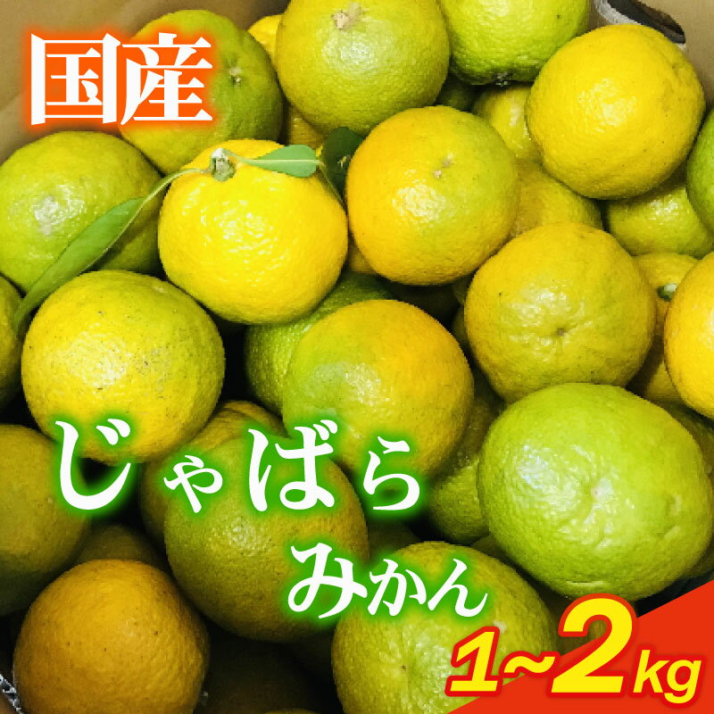 【ふるさと納税】 いたくら農園直送 じゃばら 1~2kg以上 11月中旬〜12月発送 柑橘 みかん いたくら農園果汁 果実 農家直送 産地直送 ギフト プレゼント 贈答 お中元 お歳暮 美味しい 新鮮 国産 安心 静岡みかん 静岡蜜柑 牧之原みかん