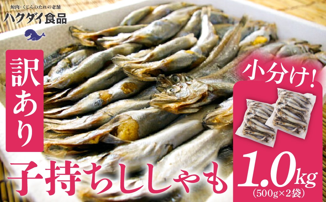 
                  【訳あり】子持ちシシャモ 1.0kg（500g×2袋）mi0012-0187 【 傷 小分け カラフトシシャモ 天ぷら フライ 焼魚 おかず 惣菜 】
                