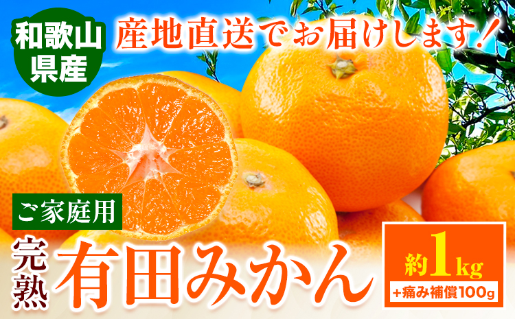 みかん ご 家庭用 完熟 有田みかん 約 1kg + 傷み補償 100g 有田マルシェ《11月上旬-11月下旬頃出荷》和歌山県 日高町 みかん 有田みかん 柑橘 フルーツ 完熟 訳あり みかん 蜜柑 ミカン 柑橘
