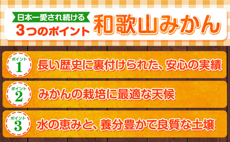 みかん王国和歌山よりお届け！【訳あり/サイズ不選別】 和歌山みかん 選べる 内容量 1.9kg 和歌山県産 先行予約 《2025年11月中旬-1月中旬頃出荷》たっぷり ご家庭用 2L～2S みかん 旬