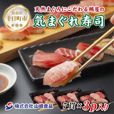 ふるさと納税 十日町市 天然マグロ屋の気まぐれ寿司 7貫×3パック 計21貫 新潟県十日町市