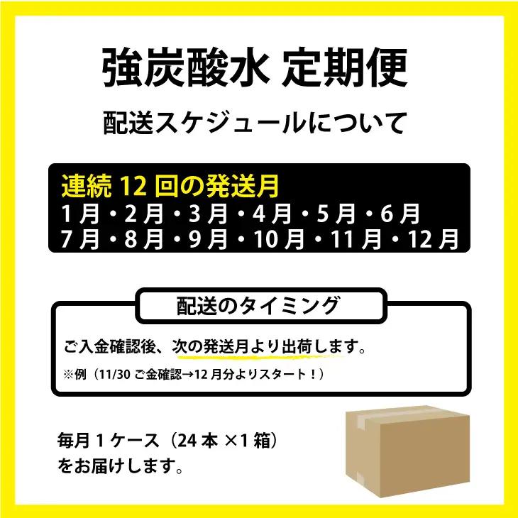 【定期便】（12ヶ月連続お届け）強炭酸水（500ml）1ケース（24本入り）×12回 炭酸 飲料 Q072-002