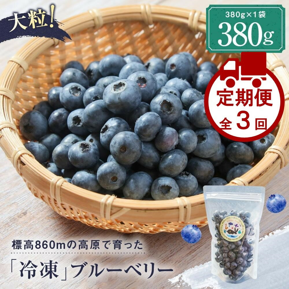 【ふるさと納税】【定期便】治助ファームの北部ハイブッシュブルーベリー「冷凍果実」380g×3回 | ブルーベリー 冷凍 果物 フルーツ 人気 おいしい 飛騨高山 治助ファーム LJ100