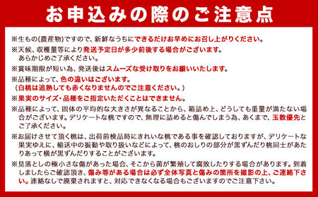 【先行予約】秀品和歌山の桃約4kg 紀の川市厳選館 《2024年6月下旬-8月上旬頃より順次出荷》 和歌山県 紀の川市