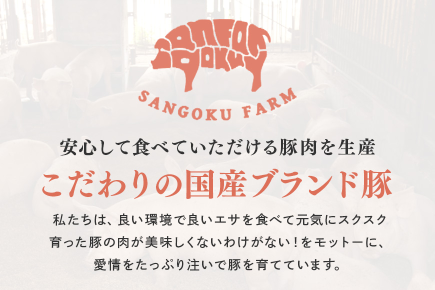 ブランド豚「サンゴク豚」 小間切れセット 2kg 小間切れ 細切れ こま切れ 豚こま 豚小間 豚小間肉 小分け 2-P