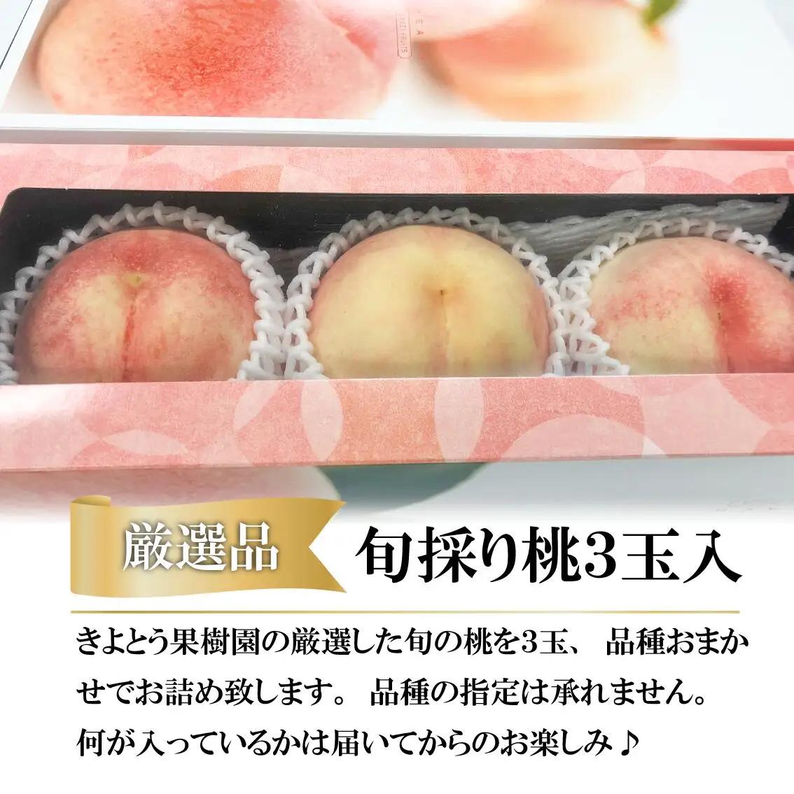 【厳選品】旬の桃(品種おまかせ) 大玉3玉 (岡山県産)  【KF-A016-03】