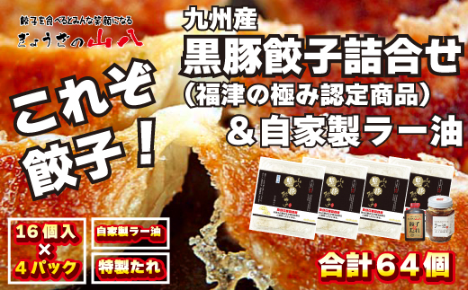 これぞ餃子!!九州産黒豚餃子詰合せ(福津の極み認定商品)＆自家製ラー油[H4383]