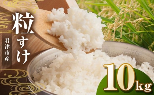 新米 【令和7年産】君津市産粒すけ（精米）10kg | JA さだもと 米 こめ お米 おこめ 白米 精米  千葉県 君津市 きみつ