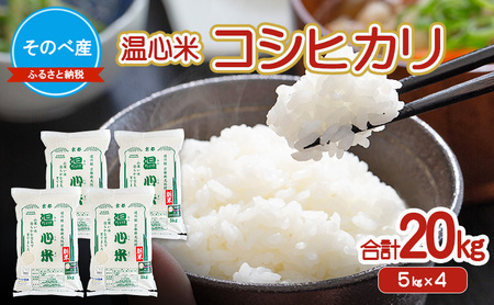 コシヒカリ20kg(5kg×4) お米 令和7年度産 お米