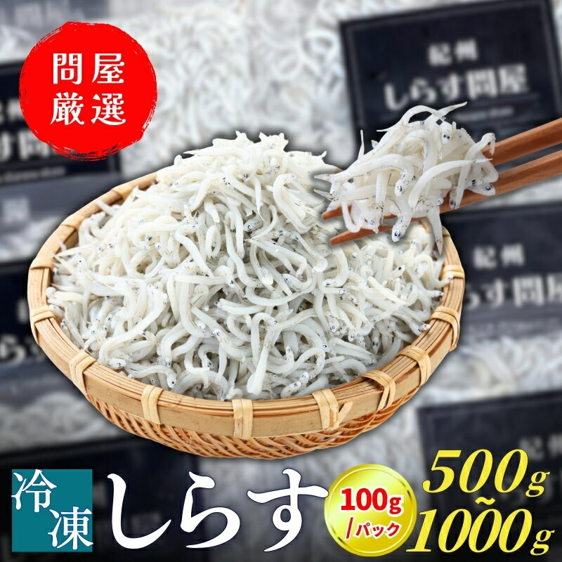 【ふるさと納税】【高レビュー】しらす 小分け 釜揚げしらす 冷凍 500g 700g 1kg（100g/パック）小分け で 便利 《 レビューキャンペーン 実施中 ! 》｜しらす丼 おかず シラス 厳選 小分け 冷凍便 13000円 17000円 22000円 ※離島への配送不可