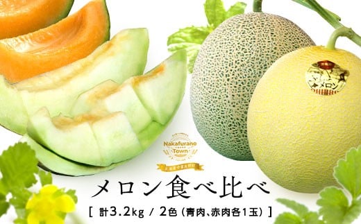 【2026年発送】中富良野産メロン赤肉・青肉　各1玉（1.6kg）