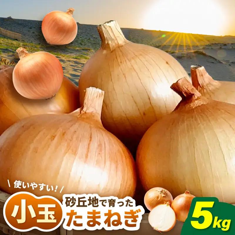 小玉 玉ねぎ 5kg たまねぎ 玉葱 産地直送 [A-16521]
