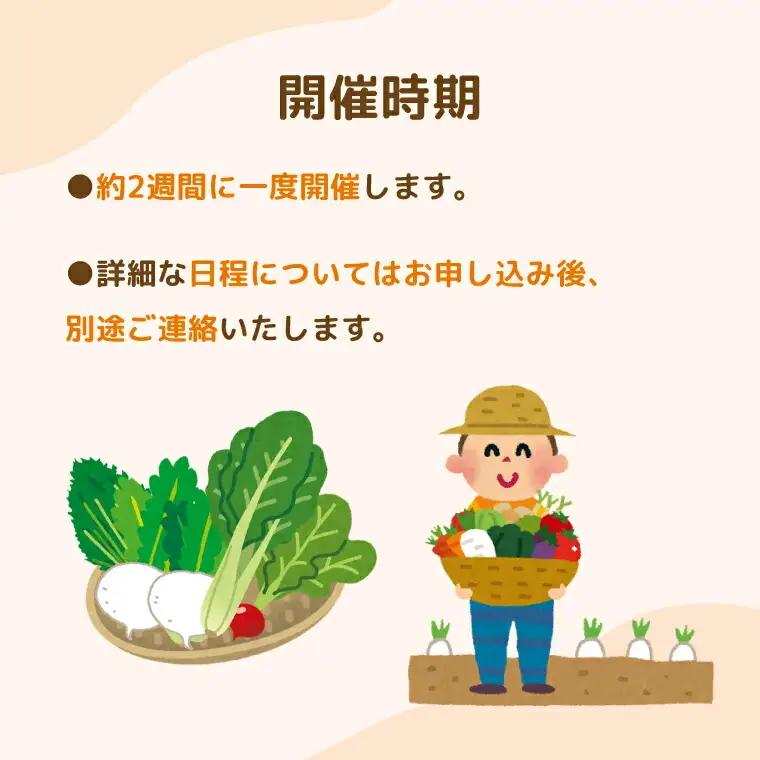 年間を通した野菜作り「土の学校」（1組5名まで） 〈 学び 食育 収穫 農業 野菜 子供 親子 農作物 ふるさと納税 柏 〉