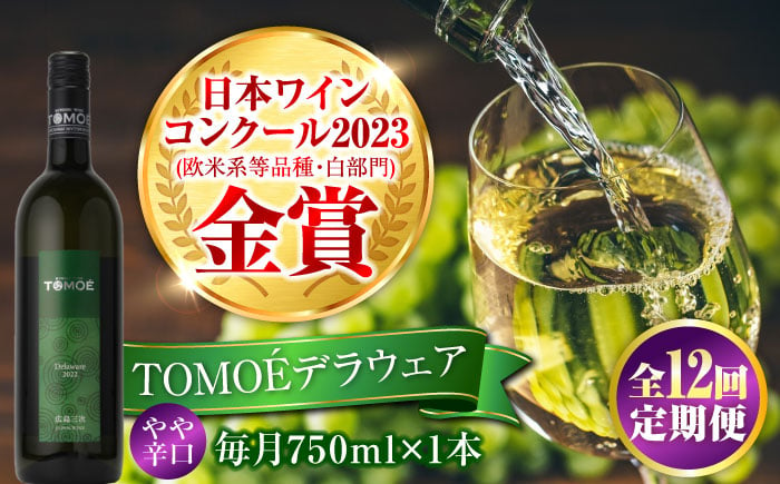 
            【全12回定期便】TOMOEデラウェア 白ワイン やや辛口 750ml 1本 白 ワイン 受賞 ギフト 醸造 おすすめ 三次市 / 広島三次ワイナリー [APAZ052]
          