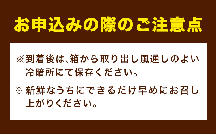 赤秀品　紀州和歌山 ハウス みかん 約 2.5kg 株式会社魚鶴商店《6月下旬-7月中旬頃出荷》和歌山県 日高町 みかん ミカン 蜜柑 フルーツ 柑橘(F)