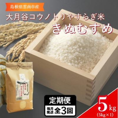ふるさと納税 雲南市 【毎月定期便】島根県雲南市「大月谷コウノトリやすらぎ米」きぬむすめ　5kg(5kg×1)全3回