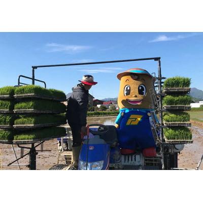 ふるさと納税 厚沢部町 【令和7年産】北海道厚沢部産ゆめぴりか25kg(5kg×5袋) |  | 01