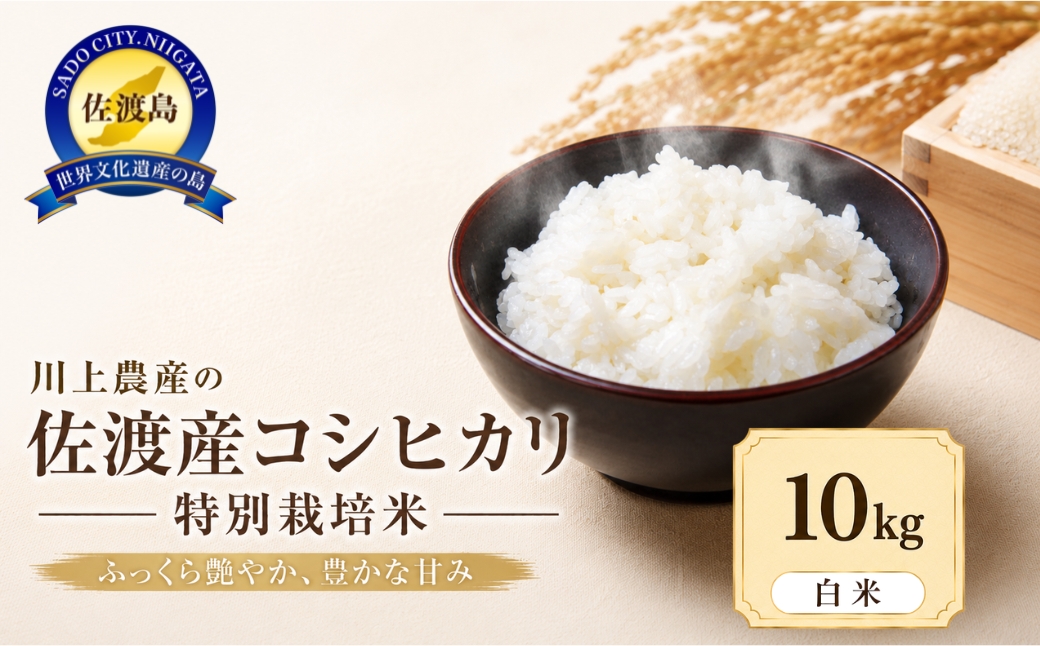 令和8年産 佐渡 川上農産のコシヒカリ（10kg）