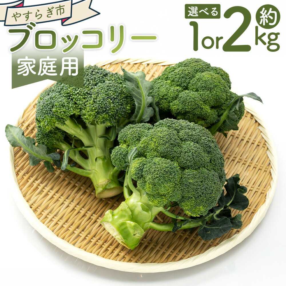 【ふるさと納税】【2025年11月末以降発送】【選べる内容量】ブロッコリー（約1/2kg） 家庭用 - 選べる 数量 国産 野菜 緑黄色野菜 青果 サラダ グラタン ご家庭用 不揃い 傷 やすらぎ市 高知県 香南市【冷蔵】 Ryr-0096