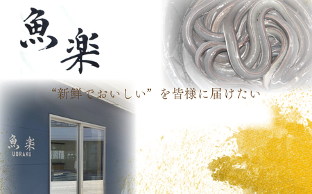 うなぎの蒲焼（半カット）2尾　400g以上 うなぎ ウナギ 鰻 かば焼き 蒲焼 冷凍 タレ うな重 うな丼 おすすめ 山椒　国産うなぎ
