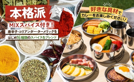 スープカレーの素 うちのスープカレー 2種セットC 計6袋 濃厚エビ味 昆布だし和風味 小分け スープカレー スパイス スープ カレー お取り寄せ ギフト ピーアンドピー 送料無料 北海道 札幌市