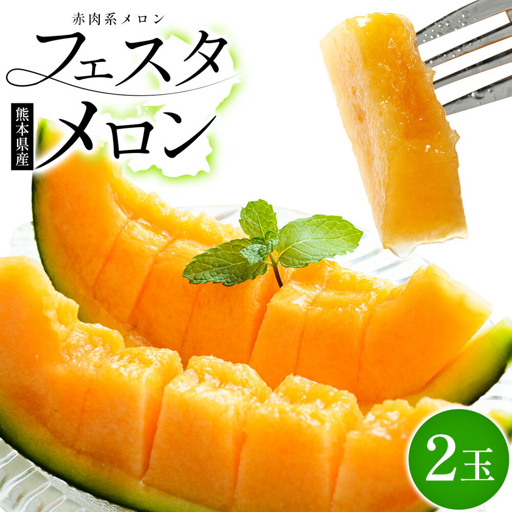 【ふるさと納税】メロン 熊本県 フェスタメロン 2玉 2L~3L《4月下旬-5月末頃出荷》熊本県 大津町 果物 フルーツ メロン めろん JA