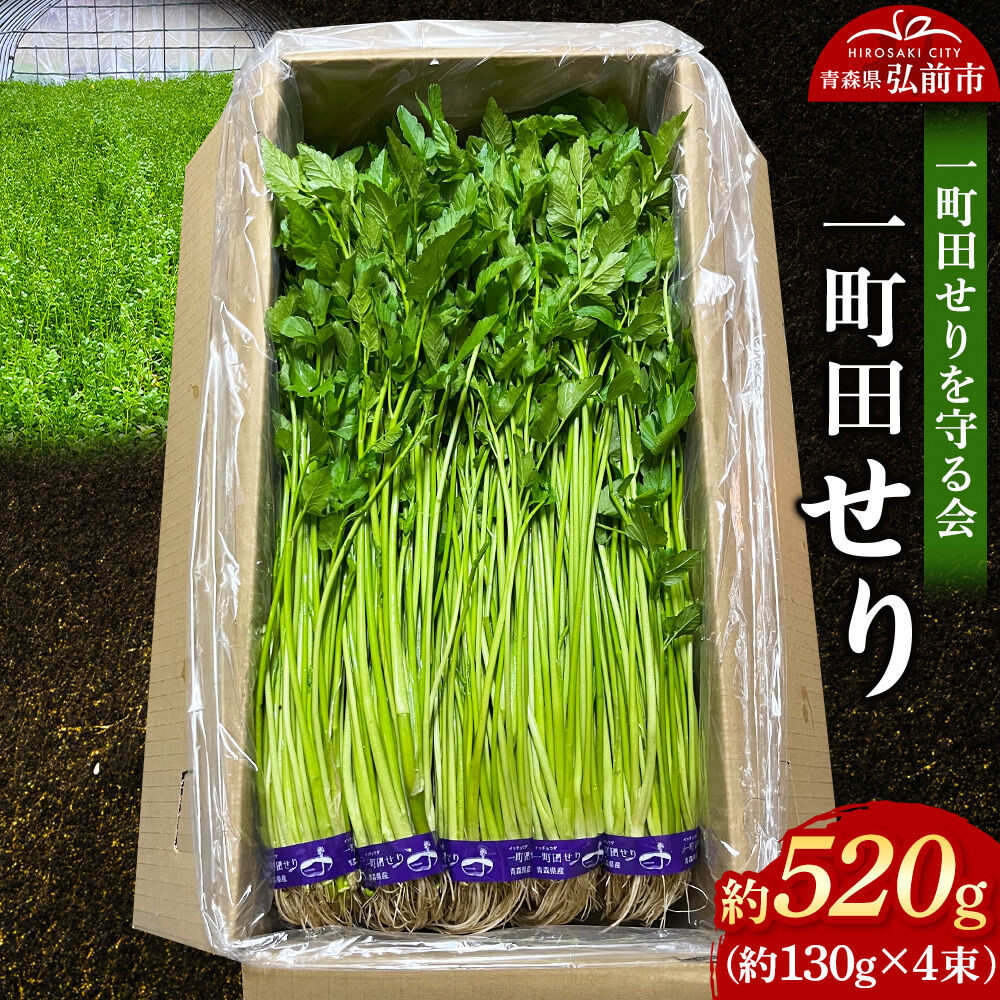 【ふるさと納税】【26年11月〜発送】野菜 一町田せり 約520g（約130g×4束）せり 七草 先行受付 [先行予約 せり 野菜 やさい 芹 春の七草 七草 山菜 一町田 鍋 なべ シャキシャキ 食感 美味しい おいしい 青森]