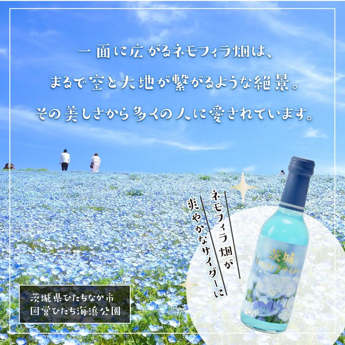 茨城ネモフィラサイダー　240ml×20本【1630240】