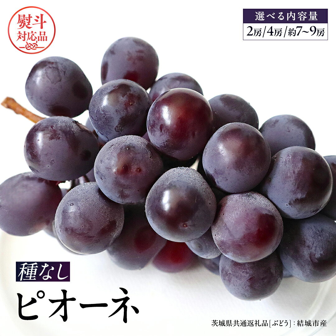 【ふるさと納税】＼ 選べる房数・熨斗対応 ／ ピオーネ 【2026年8月より発送開始】 （茨城県共通返礼品 [ぶどう]：結城市産） 田舎の頑固おやじが厳選！ ぶどう ブドウ 葡萄 大粒 ギフト お中元 甘い フルーツ 美味しい