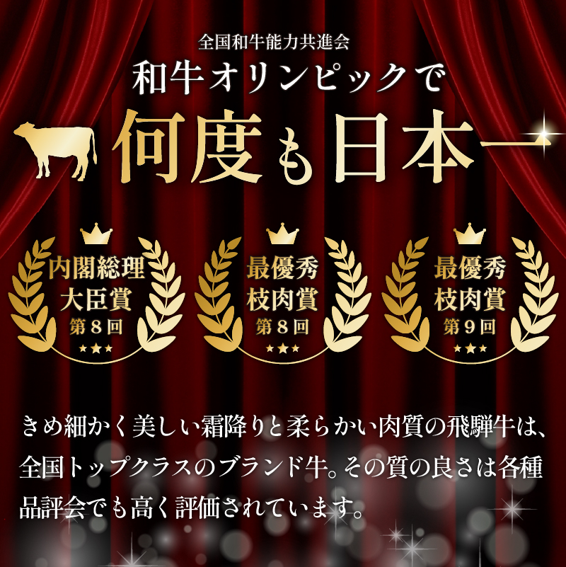 『飛騨牛』贅沢食べ比べセットB　定期便※5回に分けてのお届けとなります。【0016-100】_イメージ4