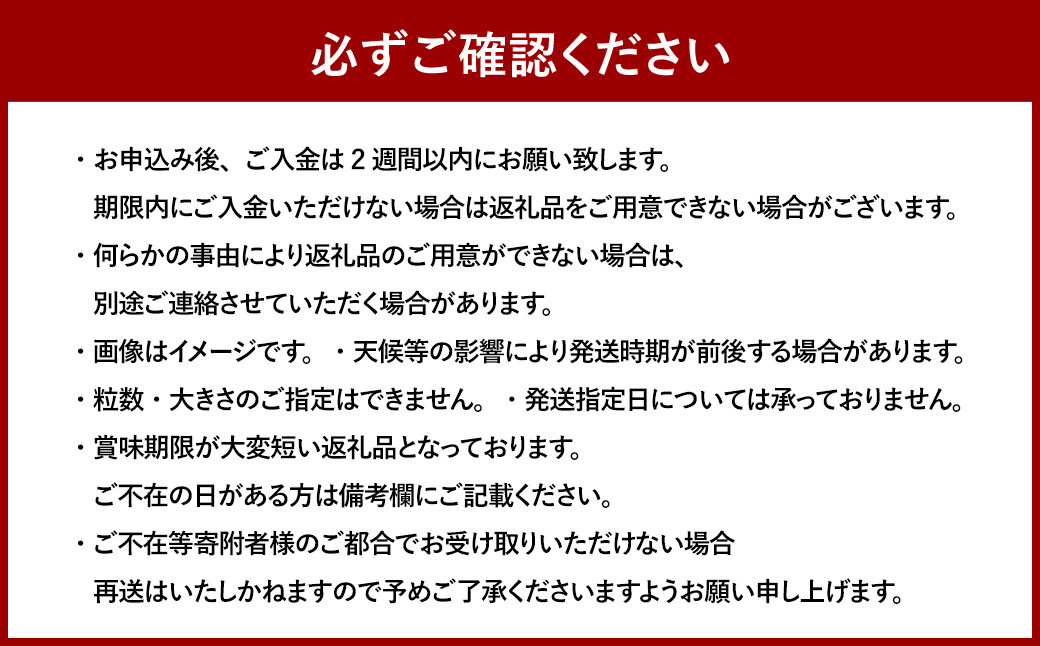 【3回定期便（2・3・4月発送）】博多あまおう 250g～270g × 2パック