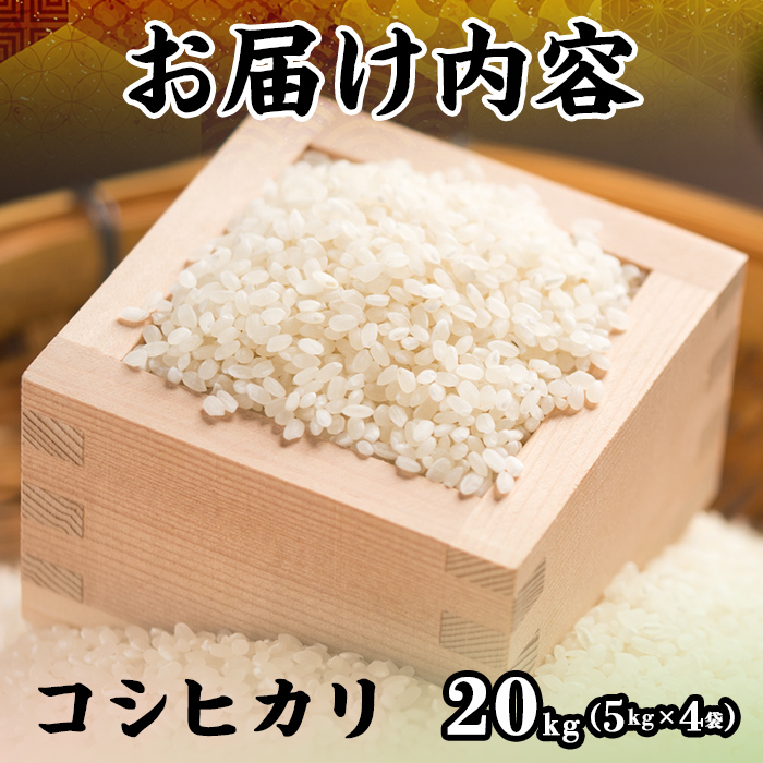 ＜2025年9月下旬～2026年8月下旬発送予定＞＜数量限定＞令和7年産新米鳥取県産コシヒカリ(20kg) 【sm-DD064】【Workplays】