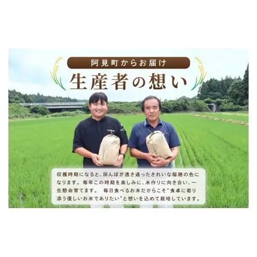 【2027年1月発送】米 ミルキークイーン 精米 15kg 令和8年産 茨城県産 お米 こめ コメ ごはん 白米 みるきーくいーん 茨城県産米 単一米 単一原料米 送料無料 国産 数量限定（85-R8