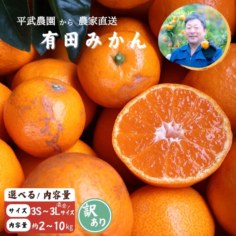 【ふるさと納税】【平武農園より農家直送！】 有田みかん 訳あり 3S 〜 3L 選べる 内容量 約 2kg 〜 10kg ミカン 柑橘 フルーツ 温州みかん 濃い 甘さ 酸味 濃厚 農家直送 こだわり 和歌山 有田 田口みかん 田口地区 和歌山県 湯浅町 送料無料