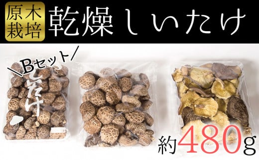 
食感と甘みが格別！臼杵産ふるさと乾しいたけＢセット（計480g）
