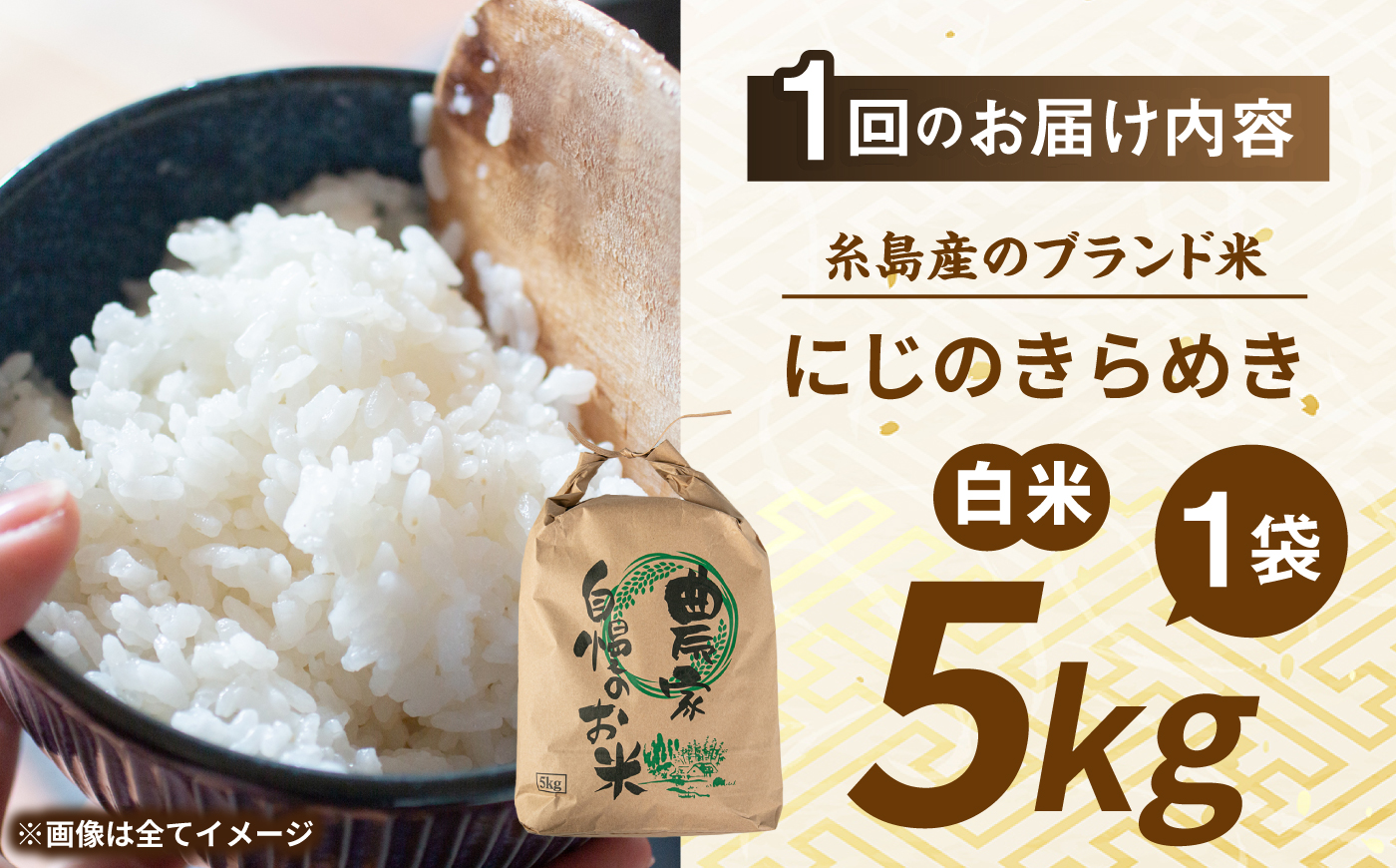 【先行受付】【全3回定期便】 にじのきらめき 白米 5kg 【2026年9月中旬以降順次発送】糸島市産 糸島市 / 糸島の恵み コメ こめ ご飯 [AGR015]