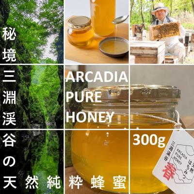 ふるさと納税 長井市 秘境三淵渓谷の天然純粋蜂蜜「春のはちみつ」_E123