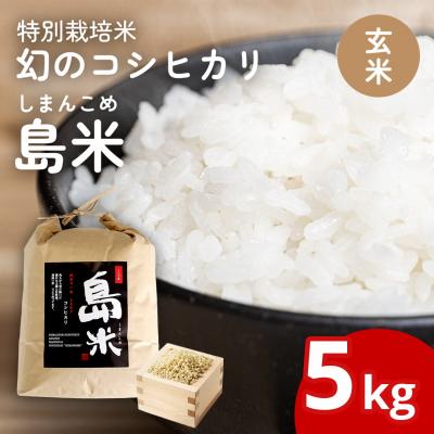 ふるさと納税 三条市 新米 新潟県特別栽培米 コシヒカリ5kg 玄米「島米(しまんこめ)」令和7年産 【015S197】