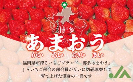 博多あまおう2パック3回定期便【2025年2～4月】約560g×3回[F5352]