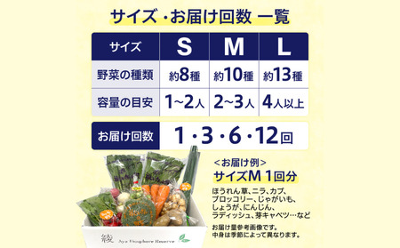 綾町旬野菜ギフト（Mサイズ）【全３回定期便】