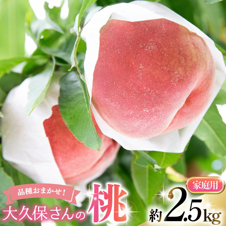 【ふるさと納税】 【2026年発送】 桃 もも モモ フルーツ 果物 旬 くだもの 大久保さんの桃 約2.5kg（家庭用） 2.5キロ 山梨県産 産地直送 季節限定 期間限定 新鮮 朝どれ [大久保桃園 山梨県 韮崎市 20745242]