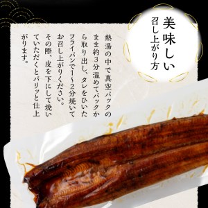 鰻 長焼き 2尾 セット (a18-042)