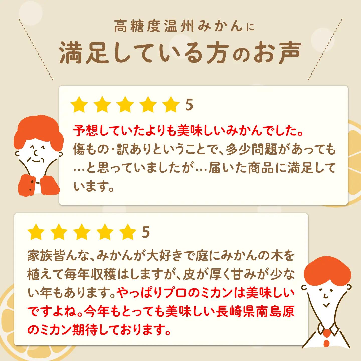 【2026年12月-発送】【2回定期便】温州みかん約10kg（傷もの）計約20kg みかん / 南島原果物屋 [SCV016]
